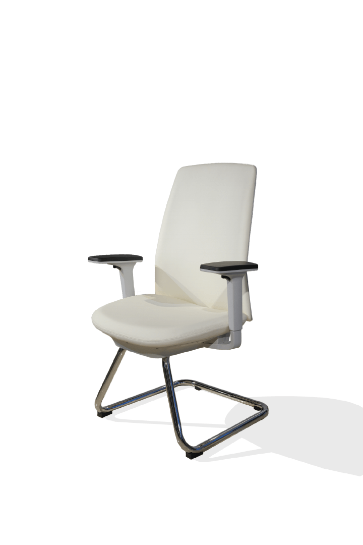 Professional Chair
